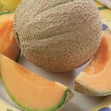 Melon Cantaloupe Fruit Seeds - Light Orange Variety for Early Harvests